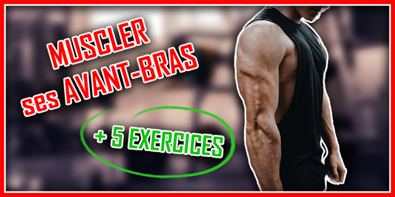 Comment Se Muscler Les Avant Bras Efficacement