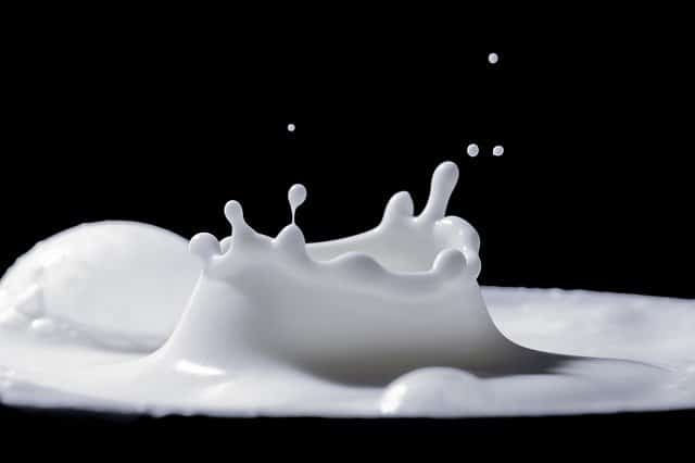 lait protéine