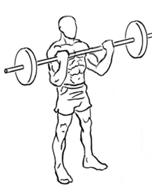 exercice isolation curl biceps